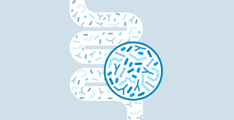 Leucotrienos intestinais são chave para anafilaxia alimentar em modelo murino