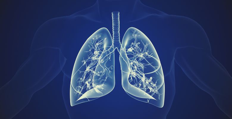 Estudo revela que alergias respiratórias podem começar com danos em células epiteliais